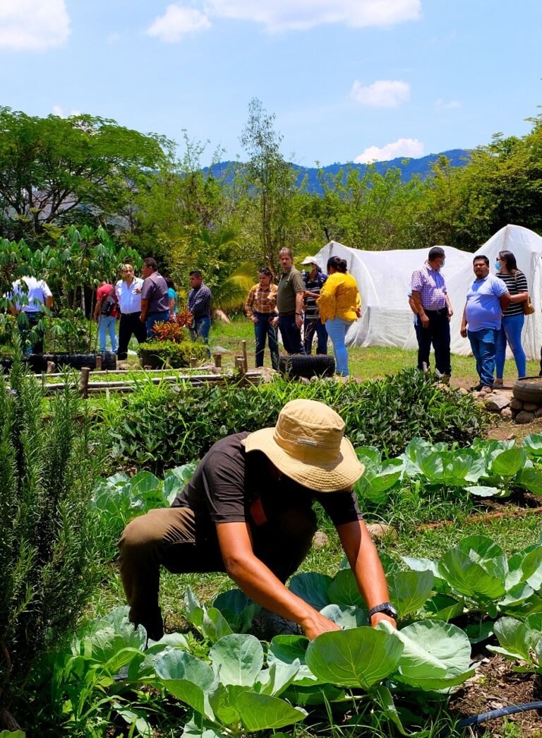 Más de 500 productores de región Trifinio en Centro América y Adamantina de Brasil desarrollan políticas de seguridad, con el apoyo de la Mancomunidad Trinacional.