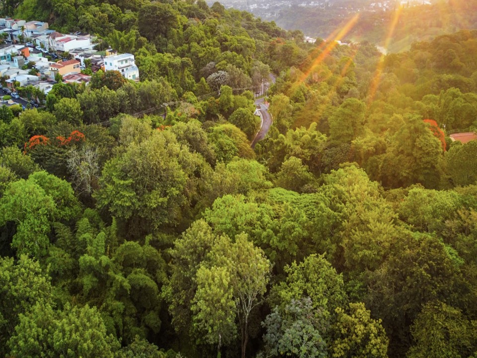 Construcción de Eco Parque en colonia la Cima, anuncia alcalde Mario Durán