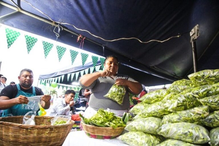 Primer "Festival del Loroco" mercados capitalinos