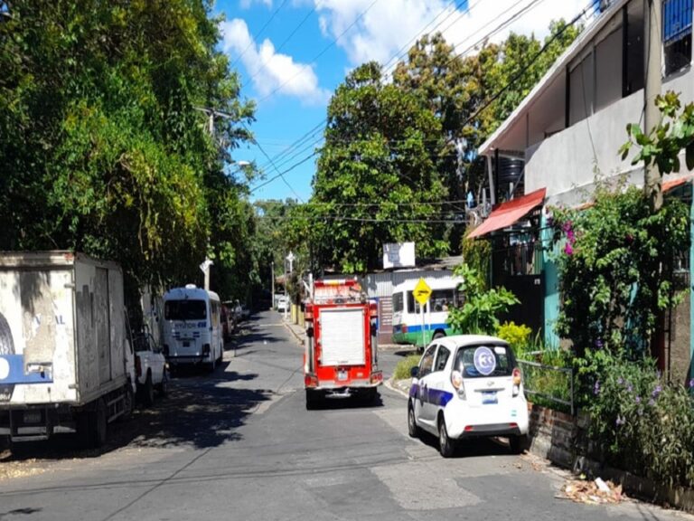 Ejambre abejas causa pánico escuela San Bartolo