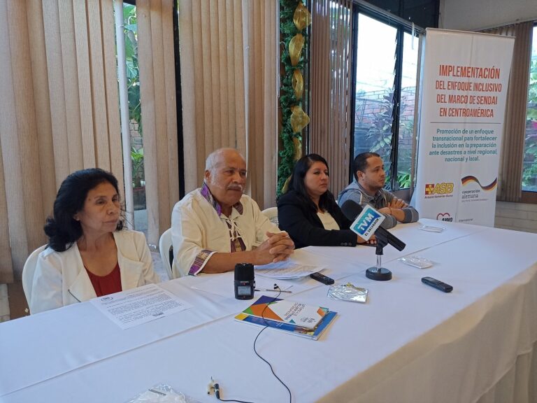 Piden al ejecutivo aplicación Ley discapacidad