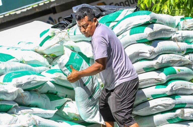Entregan fertilizantes para 5 mil manzanas de arroz
