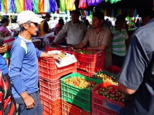 Realizan segundo Festival del Jocote en La Tiendona