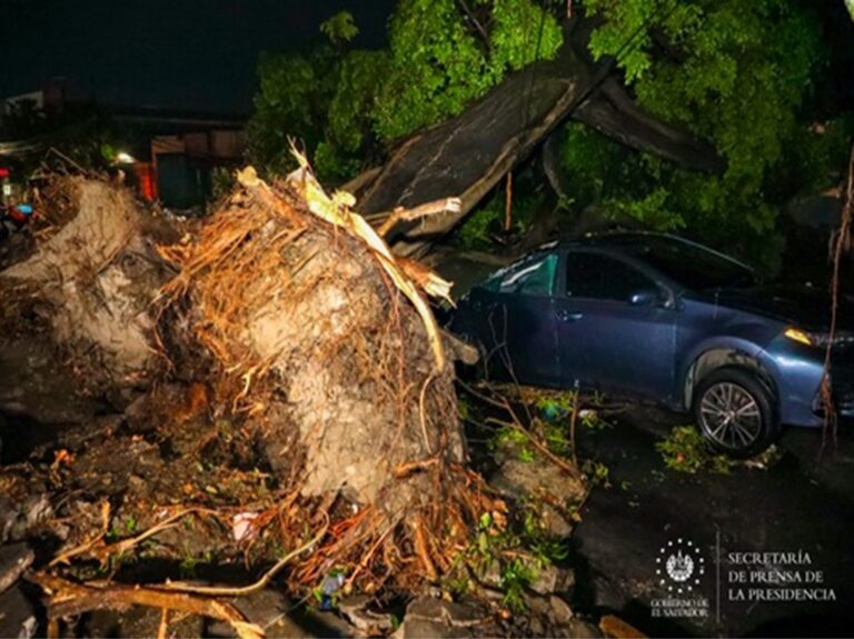 Gobierno atiendió emergencias fuertes vientos