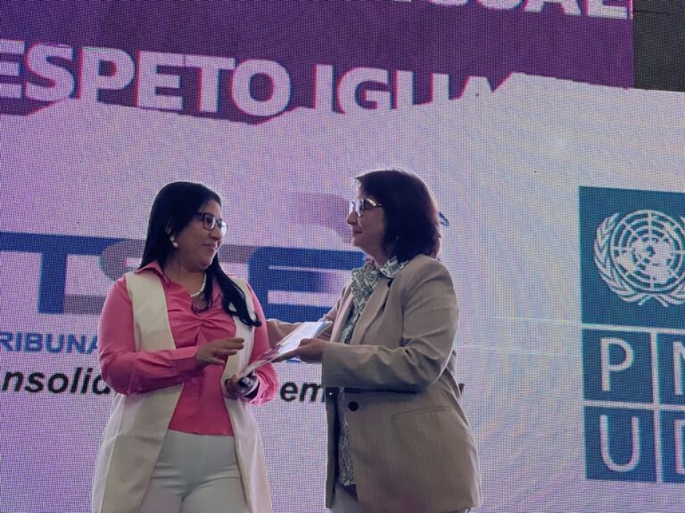 TSE presenta protocolo contra violencia a la mujer