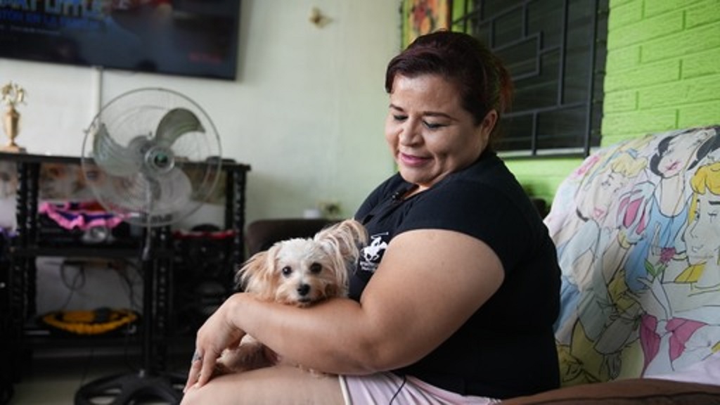 Pecky la perrita callejera rescatada roba el amor agente del CAM