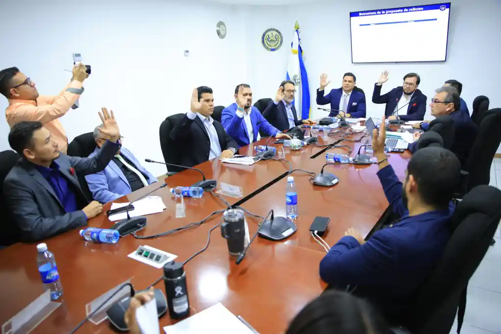 Comisión a favor de suprimir uso abusivo de armas de fuego