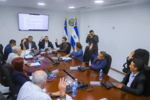 producir, importar, exportar productos farmacéuticos y hospitalarios, con lo que se aumentarán sus ingresos.