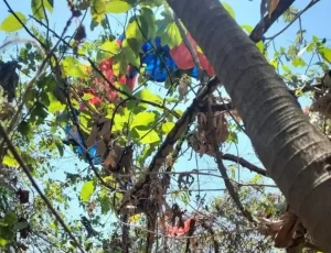 Paracaidista su accidete en el aeropuerto de Ilopango