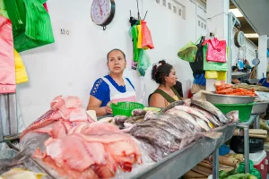 Alcaldía San Salvador realizó el Festival “Verano Mercado Sívar”