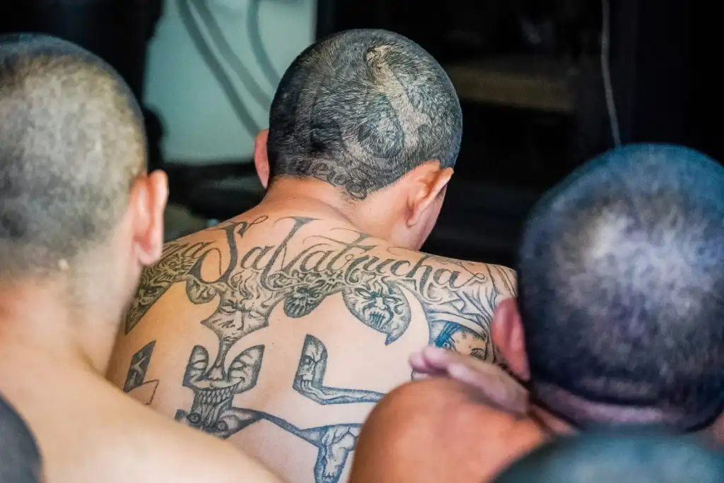 Fiscalía pide agrupar a 1,547 terroristas en un sólo proceso