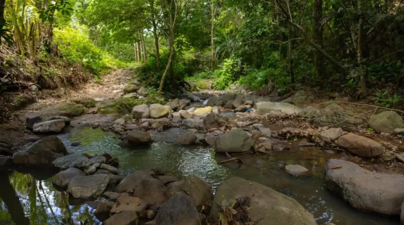 La ejecución de este proyecto se suma a las más de 8,500 obras que la DOM ha realizado en los 262 distritos del país en sus dos años de existencia, lo que motiva a su personal a seguir por la dirección correcta.