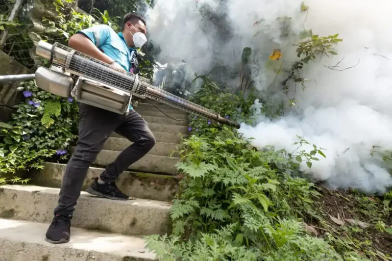 Realizaron fumigaciones en viviendas, escuelas, iglesias, parques, predios baldíos, tuberías de salida de aguas grises, tragantes, matorrales, chatarreras, zonas de vegetación, jardines y áreas verdes de colonias entre otros.