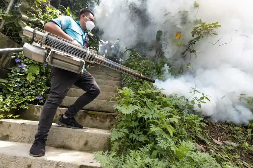Realizaron fumigaciones en viviendas, escuelas, iglesias, parques, predios baldíos, tuberías de salida de aguas grises, tragantes, matorrales, chatarreras, zonas de vegetación, jardines y áreas verdes de colonias entre otros.