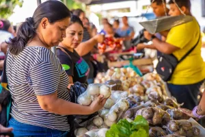 La exoneración de aranceles tendrá una vigencia de 10 años y también se aplicarán a insumos agrícolas y materias primas que garanticen la producción agrícola y la seguridad alimentaria, una iniciativa presentada y solicitada el Presidente Nayib Bukele.
