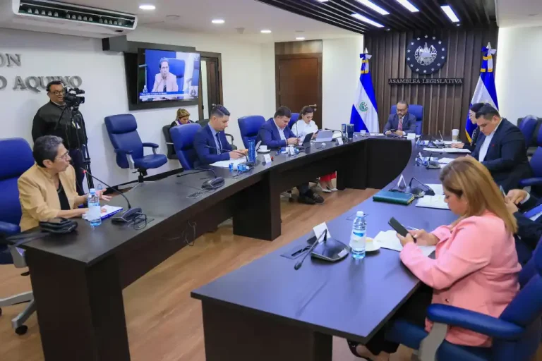 Este partido, aunque no tiene representación partidaria en la Asamblea Legislativa y tampoco ganó ninguna alcaldía del país en las pasadas elecciones, le asiste el derecho de participar en la escogitación de los cargos del ente electoral por haber logrado los votos necesarios para participar