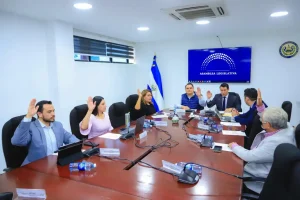 Este lunes, la Comisión de Hacienda y Especial del Presupuesto dictaminó transferir al Ministerio de Gobernación $18 millones, provenientes de financiamiento externo, para construir el ex cine Libertad, iluminar la carretera entre las playas El Tunco y El Zonte y mejorar el parque Bicentenario.