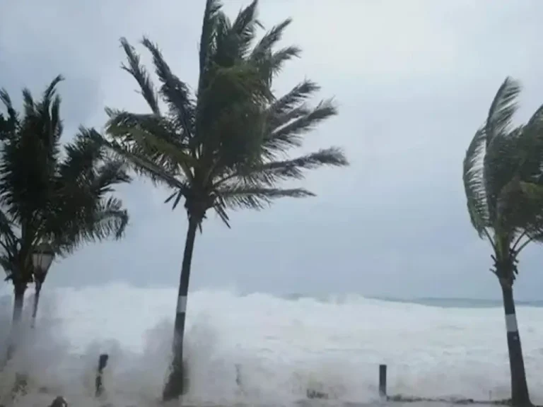 Ordenó también la evacuación inmediata de los ciudadanos y sus mascotas a zonas seguras para su resguardo en el Colegio de Estudios Científicos y Tecnológicos del Estado (CECYTE) de Quintana Roo, plantel Tulum, uno de los refugios habilitados.