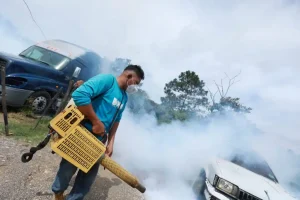 Este domingo, las cuadrillas de la Dirección de Obras Municipales, DOM, reforzaron las tareas preventivas y de combate al mosquito transmisor del dengue en los departamentos de Sonsonate, Chalatenango, Usulután, San Salvador, La Paz y San Vicente
