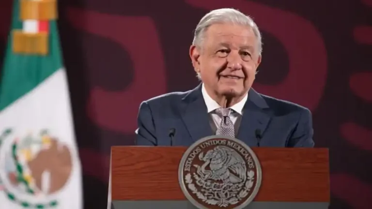 Durante la conferencia de prensa, el mandatario nacional expuso que originalmente autoridades mexicanas enviaron el plan de vuelo de una avioneta que partió de Hermosillo, Sonora, rumbo a Nuevo México, pero después se indicó que no habían salido de ese lugar.