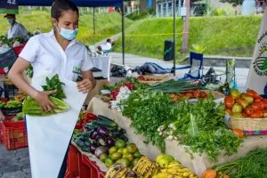 “A raíz de esta tendencia que vimos en los precios fue que se tomaron nuevas medidas, se establecieron los Agromercados y, hoy en día, son alrededor de 30 puntos en 14 departamentos en donde, en conjunto, vendedores y el sector público, nos ponemos a trabajar nuevamente para asegurarnos que nuestra población en los 14 departamentos pueda acceder a precios asequibles y productos de calidad”, destacó la funcionaria.
