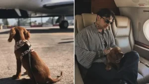 Muchas críticas desató la noticia que el ‘Chichí’, el perrito de Christian Nodal, tiene su propia cuenta de Instagram.