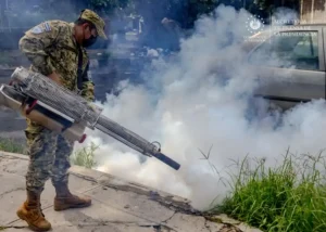 El Gobierno del Presidente Bukele reitera el llamado a la población a no lanzar basura en las calles y sumarse al trabajo en función de prevenir emergencias, acatando las recomendaciones para erradicar la proliferación del zancudo transmisor del dengue, zika y chikungunya, ya que las lluvias continúan y el riesgo es latente ante el incremento de casos.