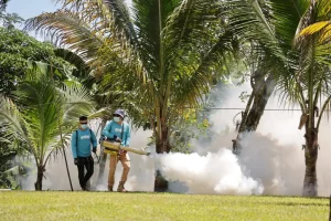 Las acciones antivectoriales forman parte de la alerta roja por dengue decretada la semana pasada por el Gobierno del Presidente Nayib Bukele para proteger a los salvadoreños.