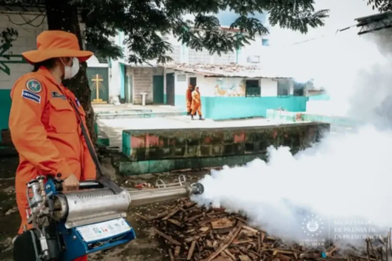 Casa por casa, los diferentes equipos de Protección Civil, Fuerza Armada y promotores del Ministerio de Salud realizaron la inspección, entregaron abate y la fumigación de toda la vivienda.
