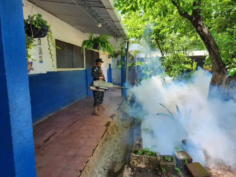 Entre los sectores visitados este miércoles fueron la colonia Jardines de Selt Sutt, en Ilopango, y El Pepeto 3, en Soyapango, ambos en el municipio de San Salvador Este.