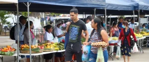 Según lo expuesto en la sesión plenaria, la finalidad es facultar al Centro de Desarrollo de Comercio Agropecuario (CDCA) como ente rector de la creación e implementación de políticas y acciones encaminadas a cumplir y asegurar el abastecimiento de agromercados a nivel nacional.