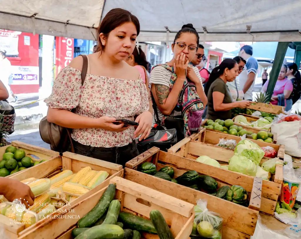 Papas, zanahorias, cebollas, pepino, tomate, son algunos de los productos que se pueden encontrar en estos establecimientos que abren todos los días al público en general.