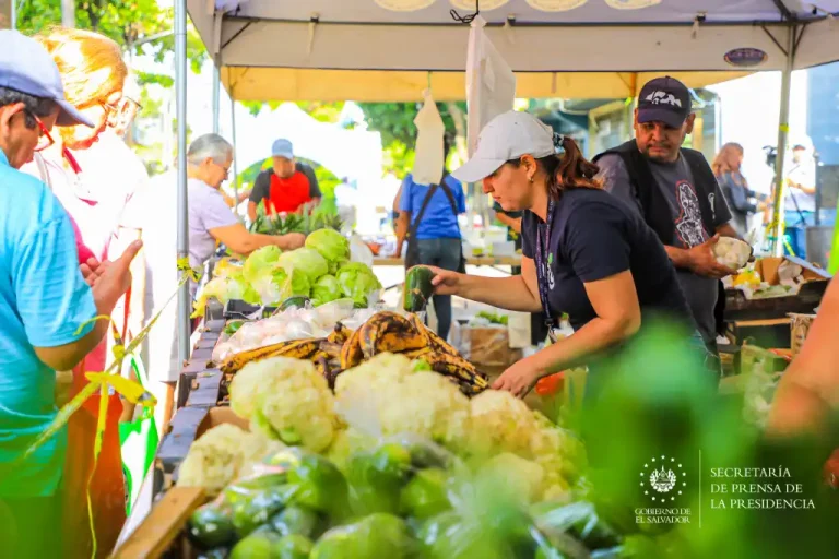 Hasta la fecha, dijeron, son 38 los puntos distribuidos a nivel nacional en los que los salvadoreños pueden encontrar productos de la canasta básica a bajo costo, gracias a que con esta alternativa comercial se trabaja directamente con los productores locales, dejando fuera a los intermediarios.