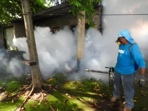 Este martes, las brigadas antidengue en cumplimiento con el mandato del Presidente Nayib Bukele, completaron casi una semana de permanecer en Juayúa, Apaneca y Jujutla tanto en la zona urbana como en la rural, aplicando todos los protocolos de salud en viviendas, negocios, parques, iglesias, centros educativos y todo lugar donde está latente la amenaza del vector.