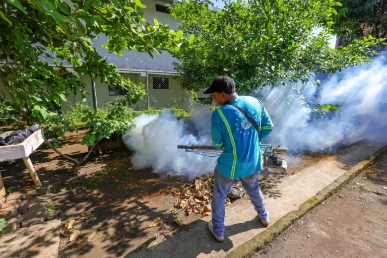 Este jueves, las brigadas antivectoriales de la Dirección de Obras Municipales, DOM, continuaron con sus acciones contra el zancudo transmisor del dengue, zika y chikungunya en el país, bajo el mandato del presidente Nayib Bukele, informaron fuentes oficiales de la institución.