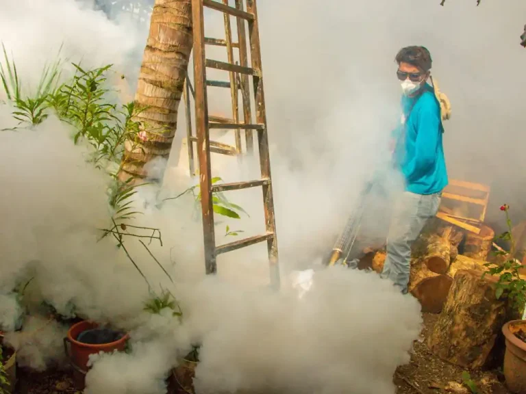 Mejicanos, uno de los distritos de San Salvador Centro, este miércoles, fueron fumigadas más de 300 viviendas de la lotificación Chancala, pasaje Alto, Chancala II, final calle “L”, calle principal de la Comunal 29 y la colonia Vista Hermosa, entre otros, dijeron.