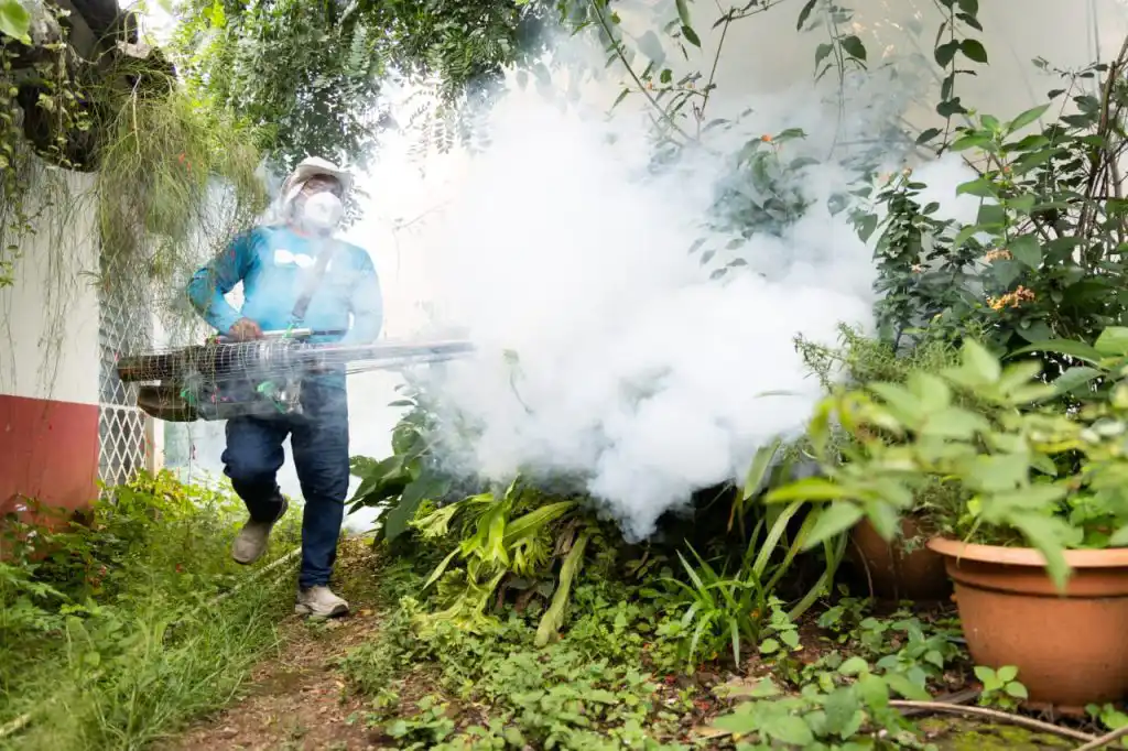 Desde el 4 de julio y hasta la fecha, la DOM en cumplimiento al mandato del Gobierno del Presidente Nayib Bukele desplegó más de 3000 hombre y mujeres en el territorio, tras la declaratoria de alerta roja por dengue a nivel nacional.