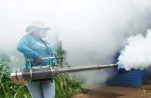 Este lunes, parte de brigadas de la DOM desarrollaron jornadas de fumigación, abatización y limpieza en distritos como Santa María de Usulután, Talnique y Jayaque en La Libertad; Ahuachapán Centro y Santiago de La Frontera en Santa Ana.