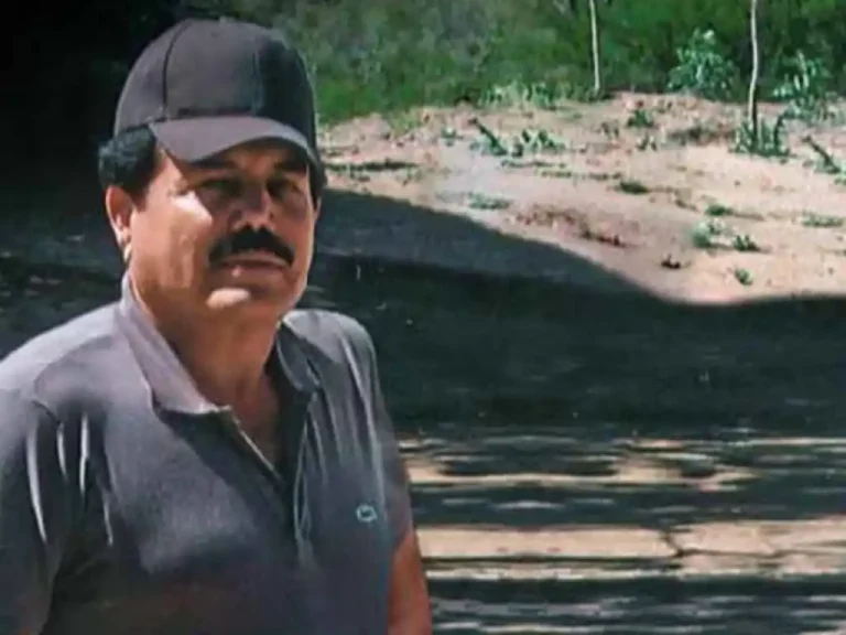La jueza Kathleen Cardone, aprobó el jueves, la extradición del cofundador del Cártel de Sinaloa, Ismael “El Mayo” Zambada, al Estado de Nueva York para que sea juzgado en esa ciudad, en donde también fue juzgado a cadena perpetua su socio, Joaquín “El Chapo” Guzmán, reportan medios internacionales.
