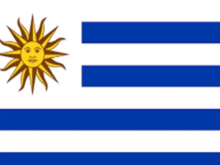 Las elecciones presidenciales y parlamentarias de Uruguay de 2024 se llevarán a cabo el domingo 27 de octubre de 2024, en la cual participa un total siete aspirantes a la silla presidencial uruguaya, quienes representan a igual número de partidos políticos contendientes.