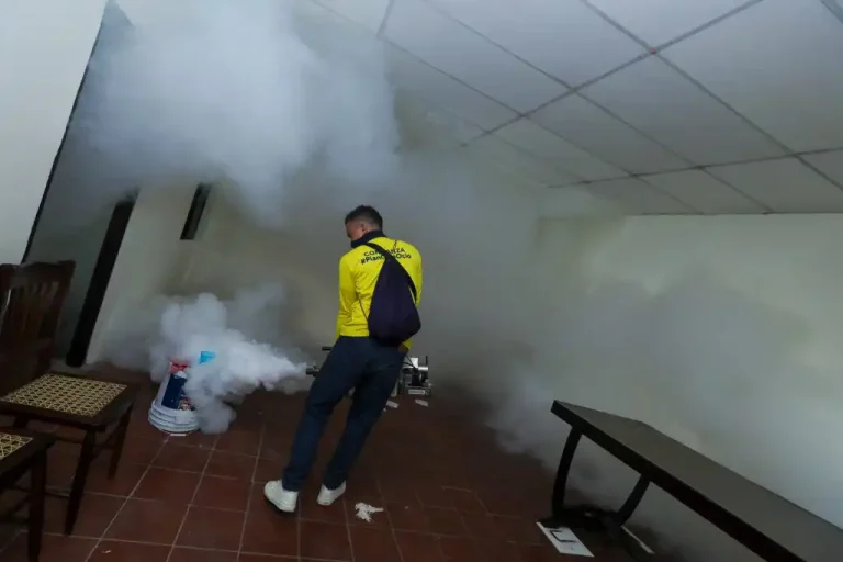 Las cuadrillas de la Dirección de Obras Municipales, se mantienen desplazados en todo el territorio nacional para desarrollar jornadas integrales contra el mosquito transmisor del dengue, zika y chikungunya, en cumplimiento al mandato del presidente Nayib Bukele, informaron fuentes oficiales.