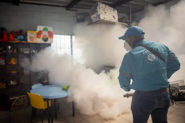 En la colonia Flor Blanca de San Salvador se cumplieron, este jueves, con los protocolos de limpieza, destrucción de criaderos de zancudos, abatización y fumigación en más de 1.200 viviendas.