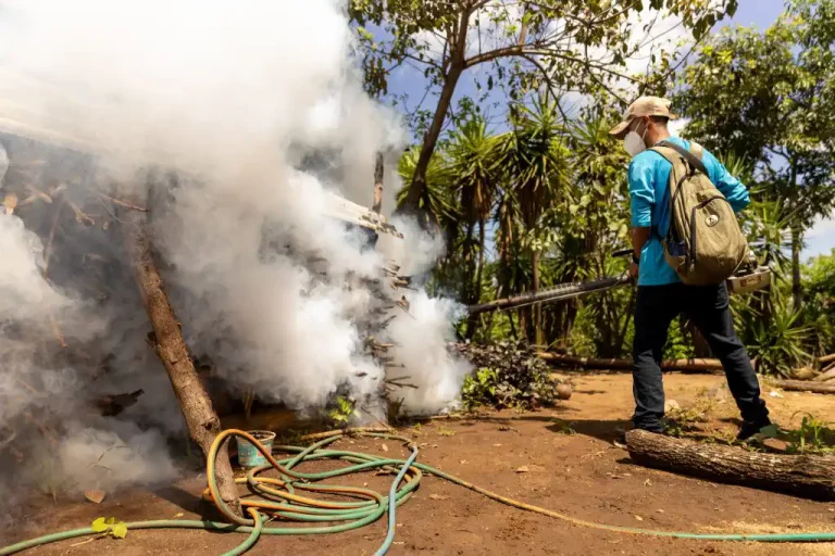 La DOM llevó a cabo trabajos de fumigación mercado Santa Ana