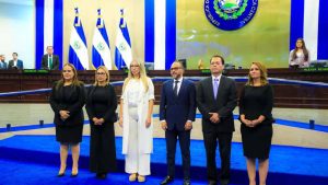 El partido Nuevas Ideas, ostenta la presidencia; Alianza Republicana Nacionalista, ARENA, un magistrado; el partido Frente Farabundo Martí para la Liberación Nacional, FMLN, aunque no tiene diputados, también tiene un magistrado, mientras que, la Corte Suprema de Justicia, CSJ, tiene dos magistrados.
