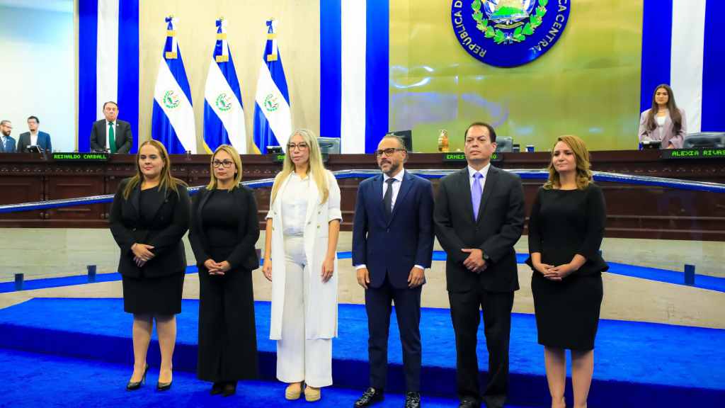 El partido Nuevas Ideas, ostenta la presidencia; Alianza Republicana Nacionalista, ARENA, un magistrado; el partido Frente Farabundo Martí para la Liberación Nacional, FMLN, aunque no tiene diputados, también tiene un magistrado, mientras que, la Corte Suprema de Justicia, CSJ, tiene dos magistrados.