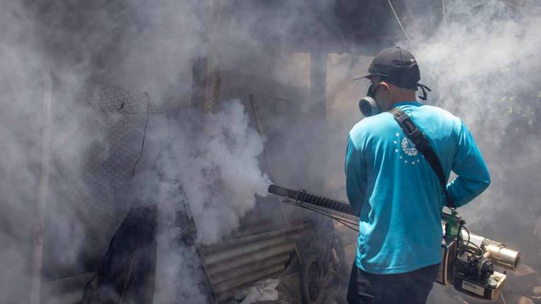 dom fumiga viviendas barrios y colonias en san salvador centro