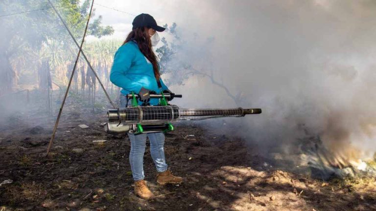 Con ese fin las jornadas de limpieza, abatización, fumigación y concientización no se detienen, este lunes, algunos de los equipos se desplazaron a Nueva Esparta y Polorós en La Unión Norte.
