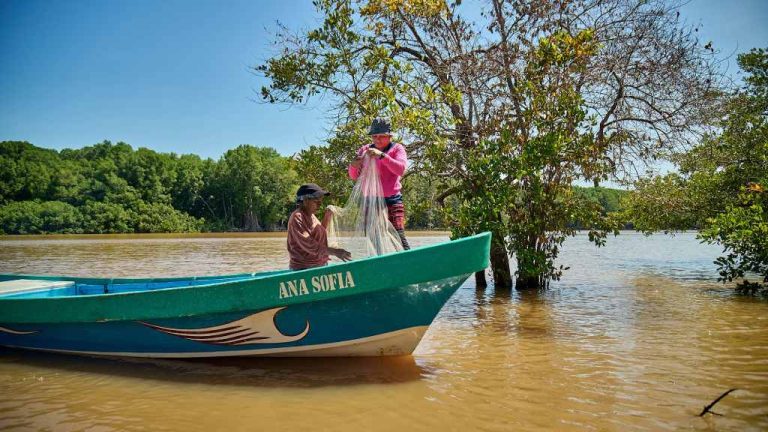 Un manglar sano promueve un ecosistema más balanceado, tanto para el medio ambiente como para las comunidades, creando una comunidad más limpia, próspera y con más oportunidades de aprovechar sosteniblemente el recurso marino.