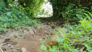 Reconstruirán la calle La Llorona en beneficio de los habitantes de Lolotique, bajo la visión del presidente Nayib Bukele.