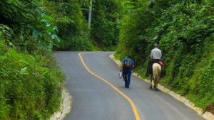 La Dirección de Obras Municipales, DOM, del gobierno del presidente Nayib Bukele, entregó este fin de semana 4.75 kilómetros de calle rural en el cantón Conacaste, distrito de Comasagua, municipio de La Libertad Sur, con la cual se beneficia a más de 1,500 habitantes.